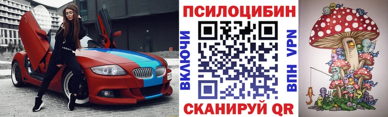 Псилоцибиновые грибы мицелий  цена   Корсаков 